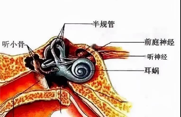重庆仁品耳鼻喉医院