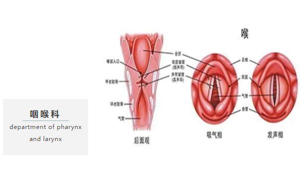 重庆仁品耳鼻喉医院咽喉科