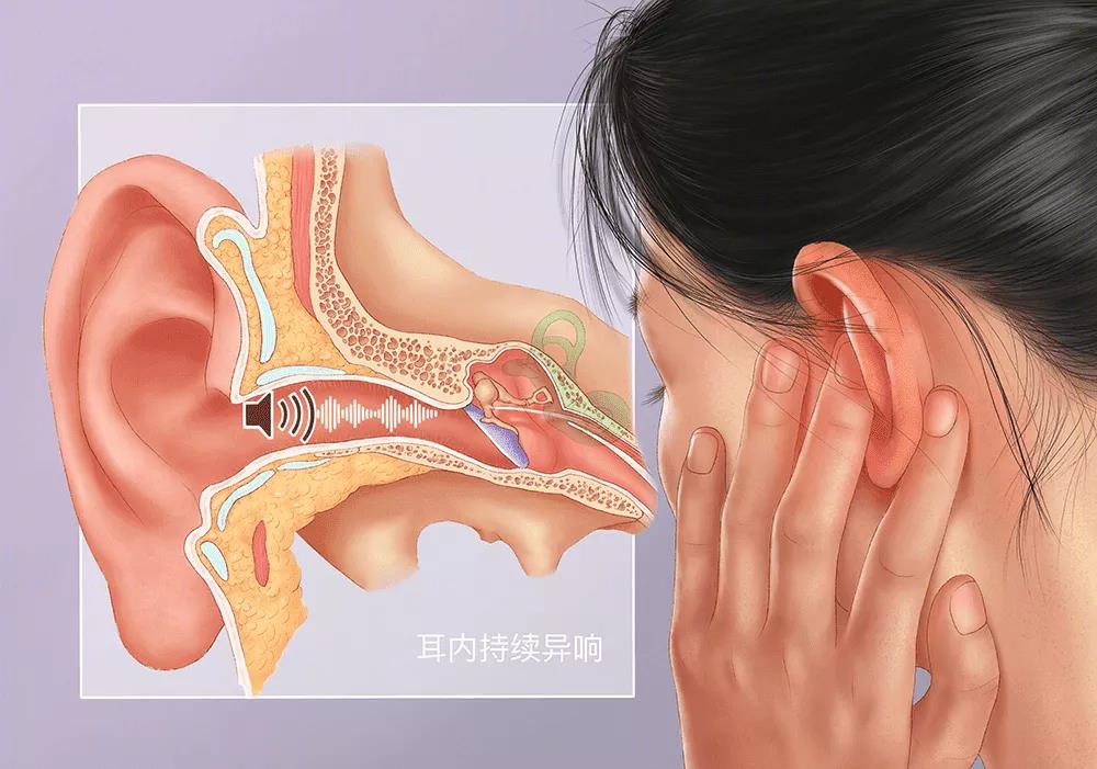 耳鸣的病因有哪些