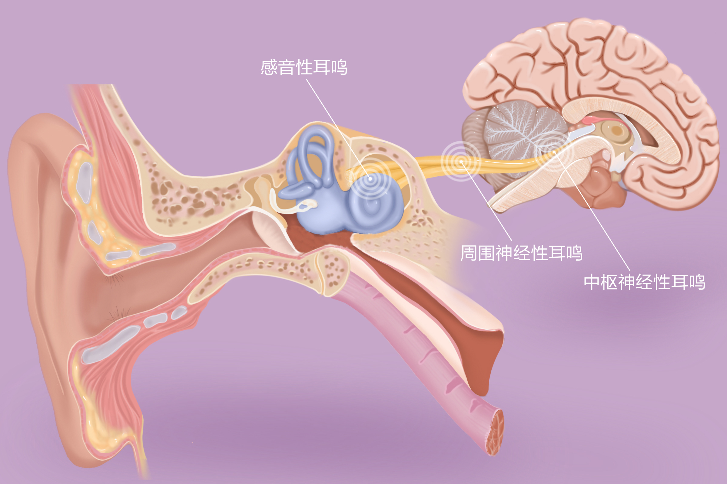 重庆耳鼻喉科医院